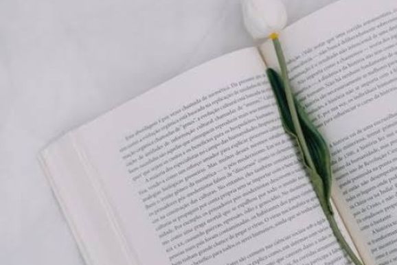 IFPR abre concurso de poemas com inscri&ccedil;&otilde;es gratuitas at&eacute; 22 de setembro