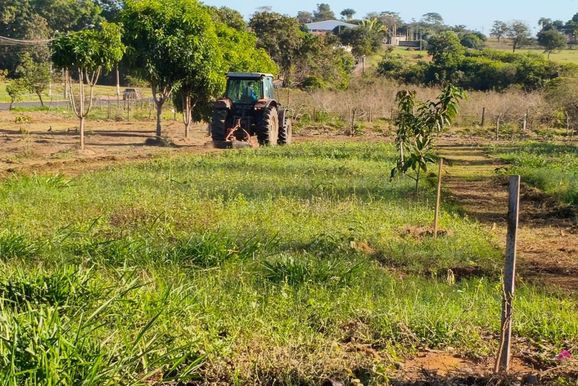 Secretaria de Agricultura executa ro&ccedil;agem em diversas &aacute;reas da cidade