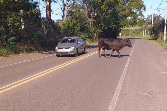 C&acirc;mara de Pen&aacute;polis alerta para risco de acidentes na vicinal Armando Viana Egreja