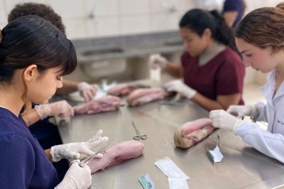 LECV promove 3&ordm; Circuito de Sutura e Habilidades Cir&uacute;rgicas no UniSALESIANO