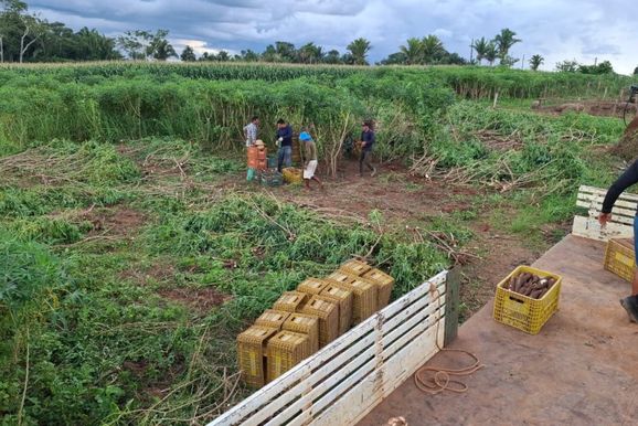 Mutir&otilde;es impulsionam emiss&atilde;o do Cadastro da Agricultura Familiar em Porto Velho