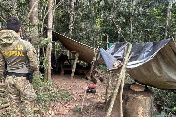 Opera&ccedil;&atilde;o destr&oacute;i serrarias m&oacute;veis em &aacute;rea ind&iacute;gena de Rond&ocirc;nia