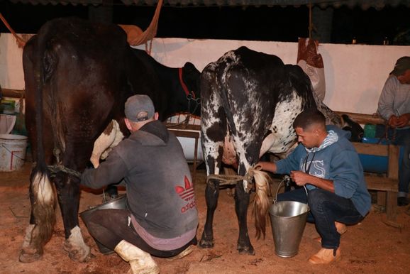 Divulgada a programa&ccedil;&atilde;o da 36&ordm; Torneio Leiteiro de S&atilde;o Joaquim, em Quatis