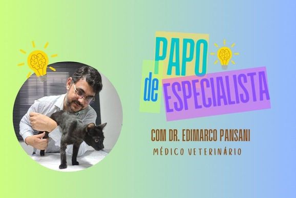 Cuidados do dia a dia com pets: Papo de Especialista com Dr. Edimarco Pansani