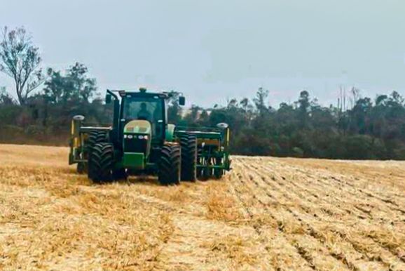Plantio da soja come&ccedil;a no Oeste do Paran&aacute; sob aten&ccedil;&atilde;o ao clima e aos pre&ccedil;os