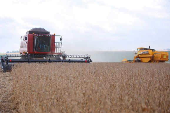Agroneg&oacute;cio do Oeste acompanha proje&ccedil;&atilde;o de crescimento da soja no Paran&aacute;