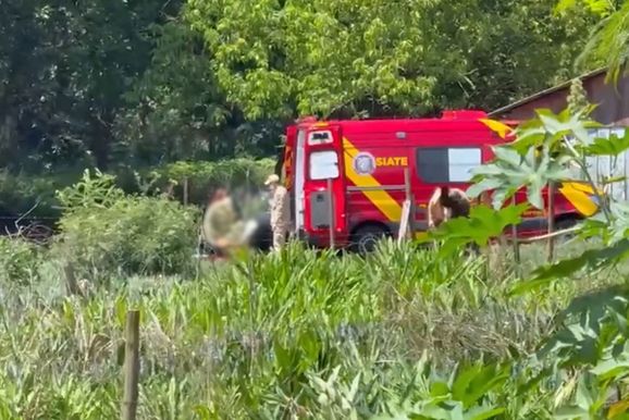 Idoso &eacute; atacado por enxame de abelhas e sofre cerca de 200 picadas 