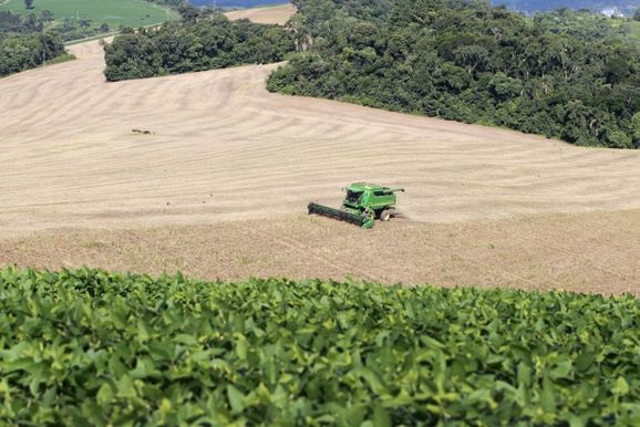     Paran&aacute; registra crescimento hist&oacute;rico na produ&ccedil;&atilde;o agropecu&aacute;ria