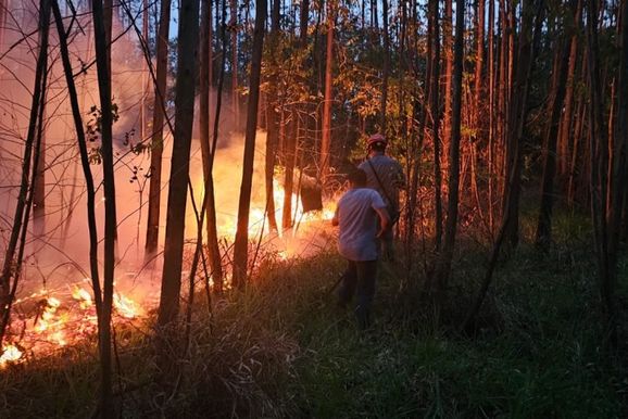 Defesa Civil de Ibat&eacute; combate dois inc&ecirc;ndios em vegeta&ccedil;&atilde;o nesta segunda-feira