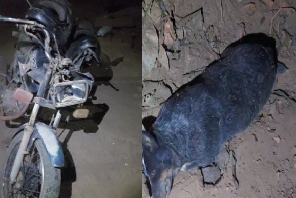 Casal &eacute; socorrido ap&oacute;s motocicleta bater em animal na zona rural de S&atilde;o Miguel do Guapor&eacute;