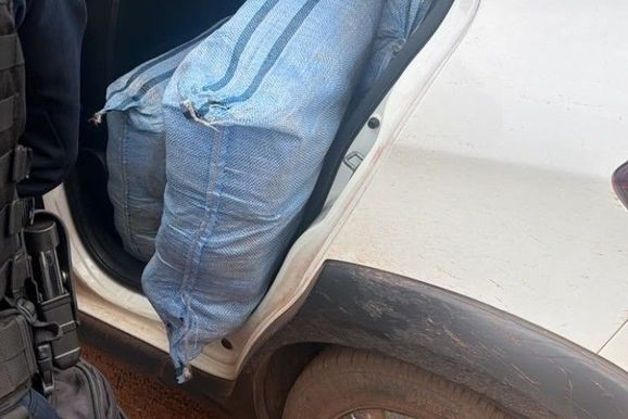 Opera&ccedil;&atilde;o policial apreendem cerca de 180 Kg de skunk em S&atilde;o Francisco Do Guapor&eacute;