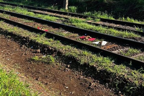 Animais mortos s&atilde;o encontrados pr&oacute;ximos &agrave; linha do trem na regi&atilde;o da Rodovi&aacute;ria de Sumar&eacute;