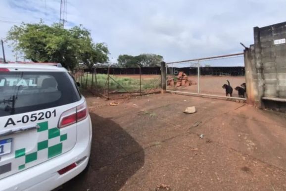 Madeireira de Sumar&eacute; &eacute; multada em R$ 105 mil ap&oacute;s fiscaliza&ccedil;&atilde;o encontrar p&aacute;tio vazio
