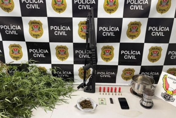 Pol&iacute;cia Civil apreende 12 p&eacute;s de maconha, arma e muni&ccedil;&otilde;es em ch&aacute;cara de Sumar&eacute;