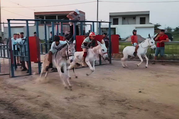 11&ordf; Corrida de Jericos do Juc&aacute; Ferrado ter&aacute; moto como pr&ecirc;mio principal e shows em Surubim