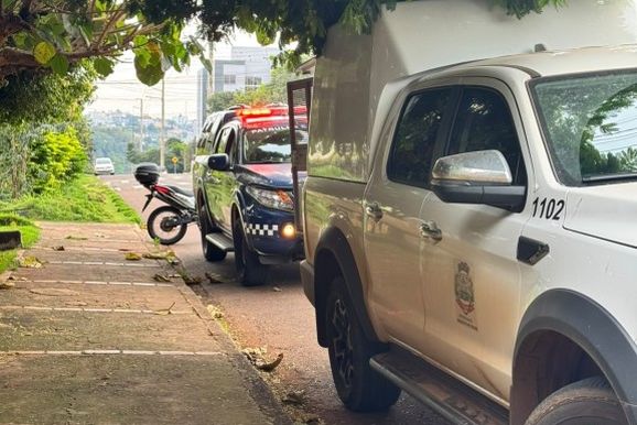 Cadela fica gravemente ferida ap&oacute;s ser atacada por dois Pit Bulls em Toledo