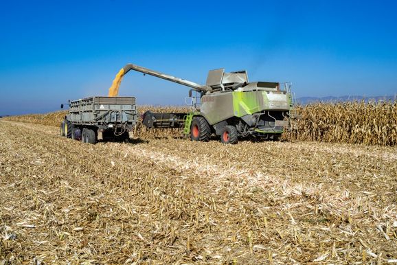 Cota&ccedil;&atilde;o do dia traz valores dos principais produtos do mercado agr&iacute;cola