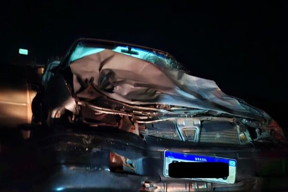 Boi na pista provoca acidente com duas v&iacute;timas em rodovia na regi&atilde;o