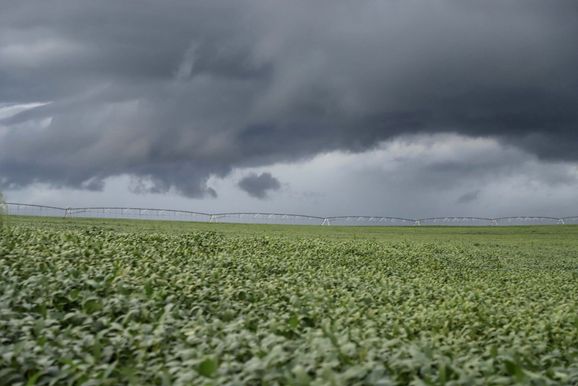Chuvas de junho atingem m&eacute;dia hist&oacute;rica em apenas 15 dias e reduzem seca em Umuarama