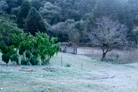 Porto Uni&atilde;o registra -1,3&deg;C e tem amanhecer mais frio da semana com geada