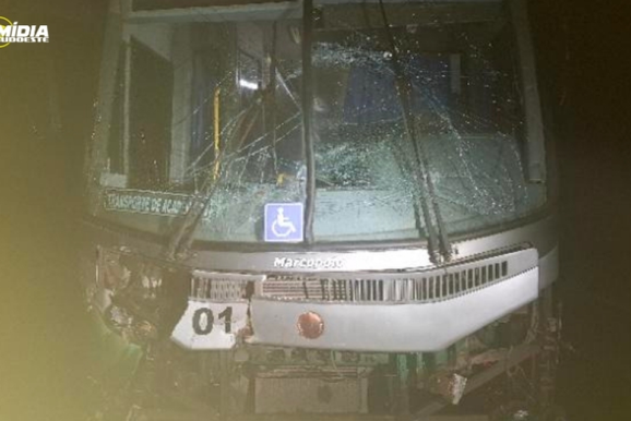 &Ocirc;nibus atropela dois cavalos na PR-831, em Paula Freitas