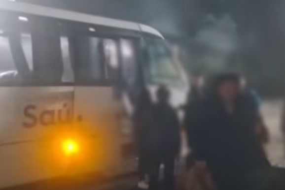 &Ocirc;nibus da Sa&uacute;de de Uni&atilde;o da Vit&oacute;ria bate em vaca durante a madrugada na PR-151