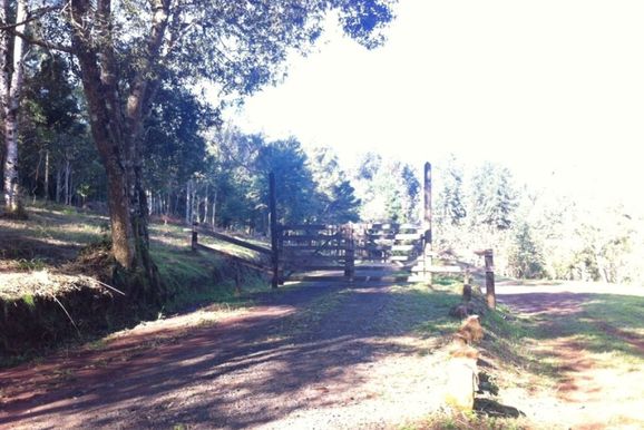 5&ordf; Caminhada na Natureza percorre trajeto pelo Caminho da Erva-Mate em Uni&atilde;o da Vit&oacute;ria