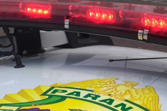 C&atilde;o farejador auxilia PM na apreens&atilde;o de drogas em &ocirc;nibus na BR-476