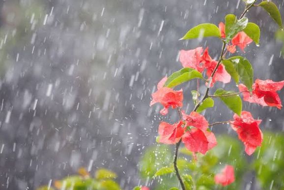 Chuvas e temperaturas acima da m&eacute;dia v&atilde;o marcar a primavera, prev&ecirc; o Simepar