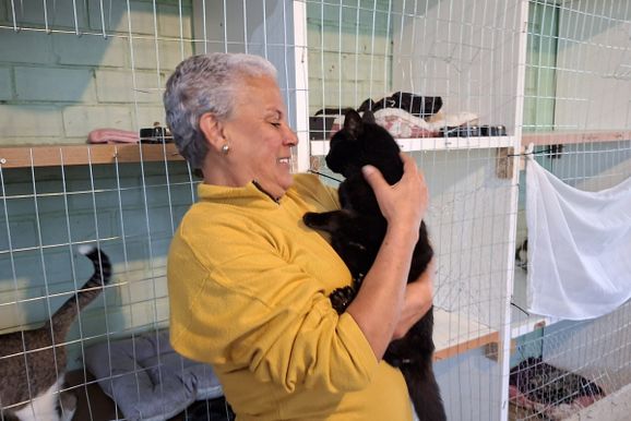 Longe de casa, c&atilde;es e gatos afetados pela cheia ganham abrigo em Porto Uni&atilde;o