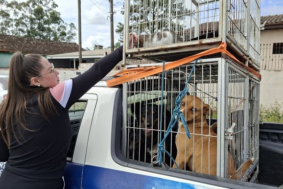 Porto Uni&atilde;o orienta moradores a n&atilde;o deixar animais para tr&aacute;s durante retirada