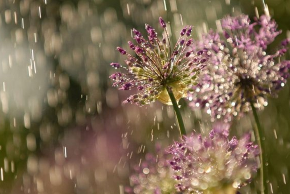 Primavera come&ccedil;a em SC com previs&atilde;o de mais chuva e aten&ccedil;&atilde;o redobrada aos temporais