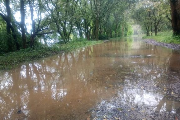 Rio Igua&ccedil;u baixa em Uni&atilde;o da Vit&oacute;ria e chega a 6,35 metros nesta quinta-feira
