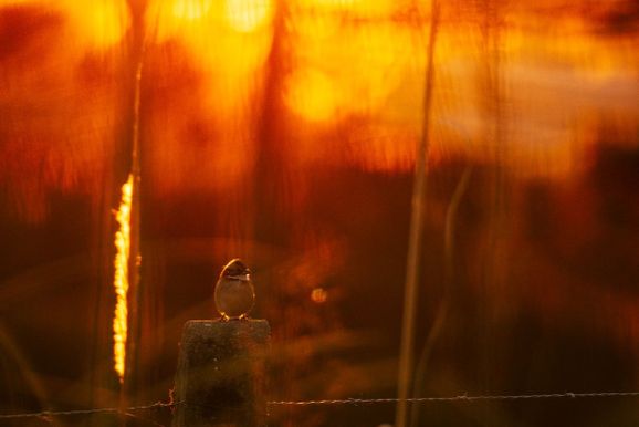 Temperaturas acima de 30&deg;C marcam o fim de semana em Santa Catarina