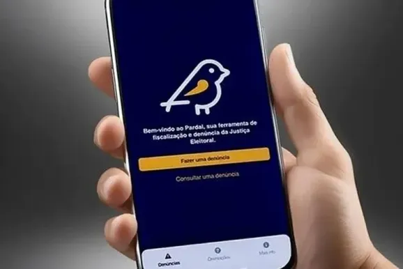 Den&uacute;ncias de propaganda irregular crescem 73% em rela&ccedil;&atilde;o a 2022