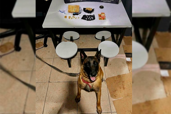 Pol&iacute;cia apreende cerca de 1 kg de crack em carro na entrada de Porto Uni&atilde;o