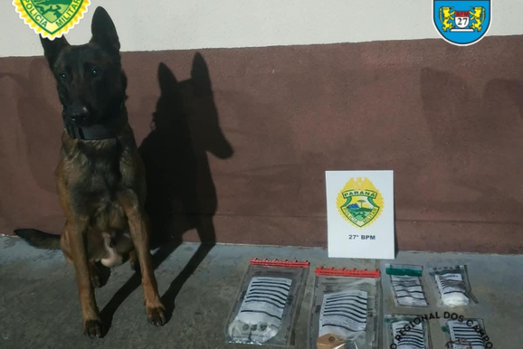 Pol&iacute;cia prende dois suspeitos por tr&aacute;fico de drogas em Uni&atilde;o da Vit&oacute;ria