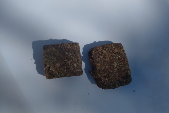 Pol&iacute;cia Militar apreende maconha em escola infantil de Esp&iacute;rito Santo do Pinhal