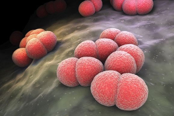 Meningite bacteriana causa morte de menina de 8 anos na regi&atilde;o