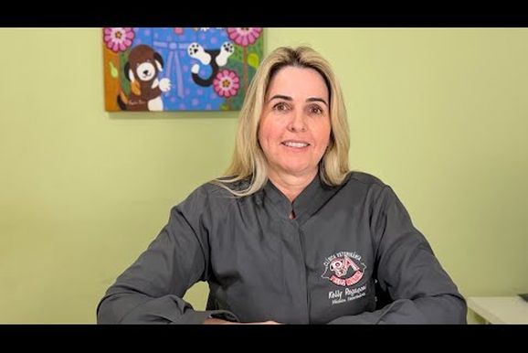 Cachorro vomitando amarelo: Dra. Kelly Rega&ccedil;oni explica o que pode ser