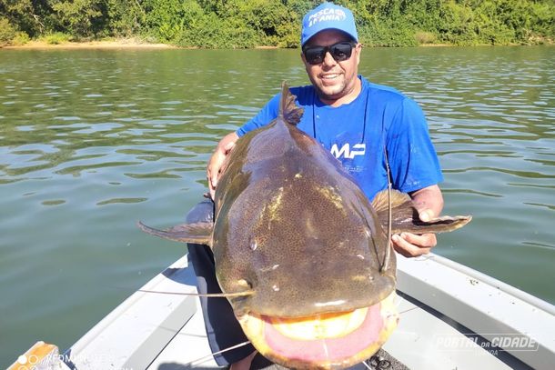O ja&uacute; voltou &agrave;s &aacute;guas do Rio Paran&aacute; depois que posou para fotos com o pescador.