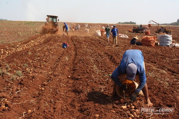 Impulsionada pelo agroneg&oacute;cio, principalmente a safra da batata, Vargem Grande do Sul ficou em terceiro lugar no ranking da gera&ccedil;&atilde;o de empregos entre sete cidades analisadas