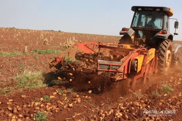 Safra: regi&atilde;o de Vargem Grande do Sul atualmente se consolida como a principal pra&ccedil;a produtora do Brasil
