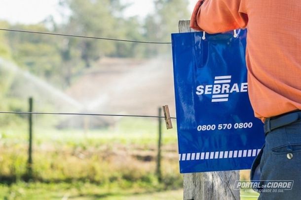 ALI Rural: programa promove uma jornada estruturada de inova&ccedil;&atilde;o, baseada na realidade de cada empreendimento rural