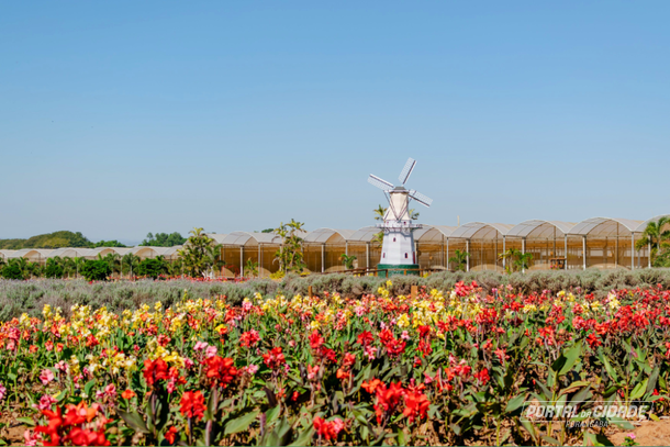Sindicato Rural organiza caravana para a 42&ordf; Expoflora em Holambra