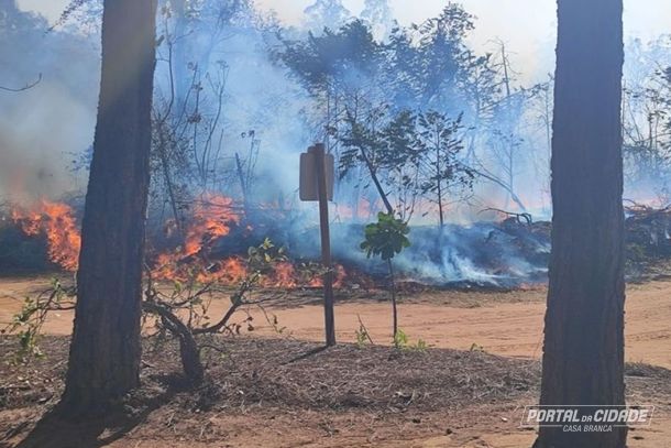 Fogo consome parte de vegeta&ccedil;&atilde;o do Horto Florestal de Casa Branca em agosto de 2025