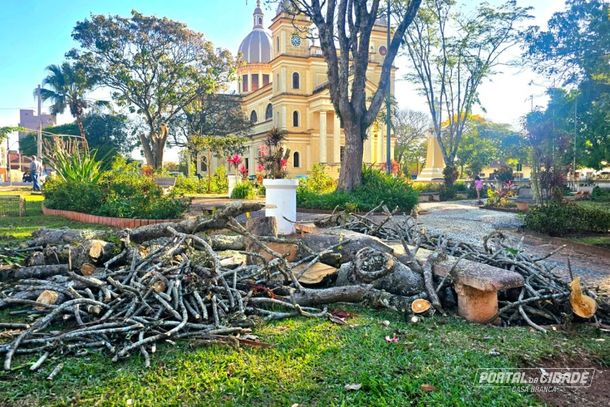 Agr&ocirc;nomo chama retirada de &aacute;rvores da Pra&ccedil;a da Matriz de &ldquo;erro gigantesco&rdquo;