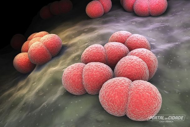 Crian&ccedil;a de 8 anos da regi&atilde;o morre de meningite bacteriana