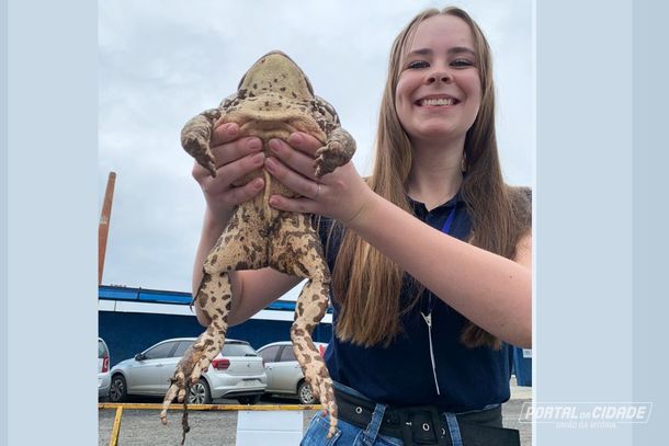Giorgia Delvoss Sikorskique &eacute; estudante de veterin&aacute;ria e sempre teve grande admira&ccedil;&atilde;o por sapos 
