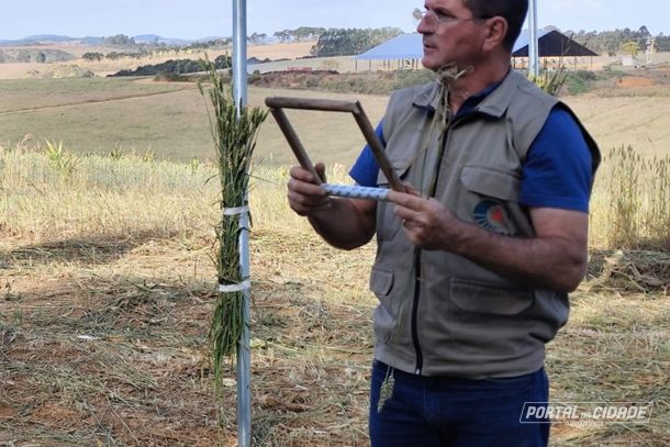 O pesquisador, Maur&iacute;cio Coelho, mostra um quadrado de 20cm x 20 cm, onde devem caber 20 sementes de trigo na hora do plantio